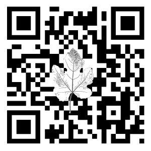eco code tee